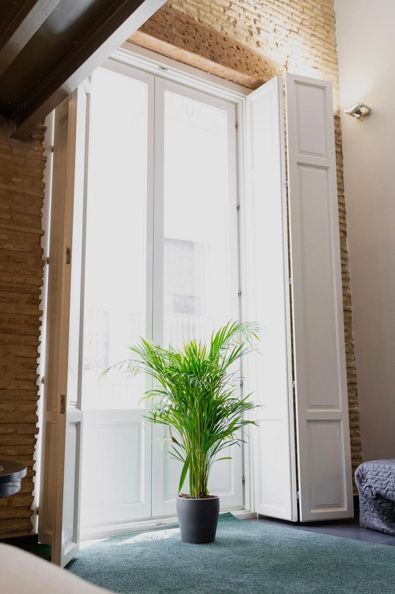 Appartamento Cosy Duplex Centro Valenza